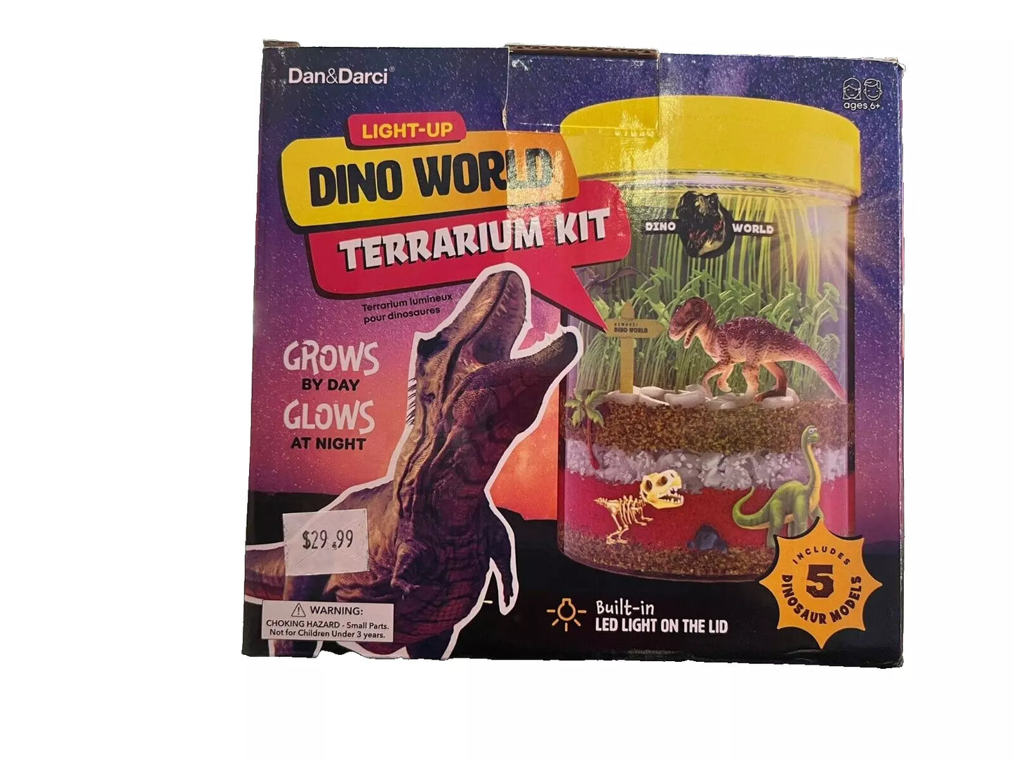 Dan & Darci Terrarium Kit - Creative DIY Plant Terrarium for All Ages